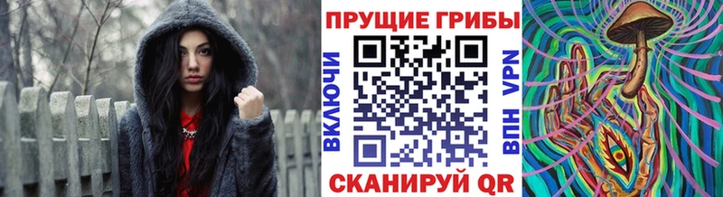 закладка  Талдом  маркетплейс какой сайт  Псилоцибиновые грибы мухоморы 